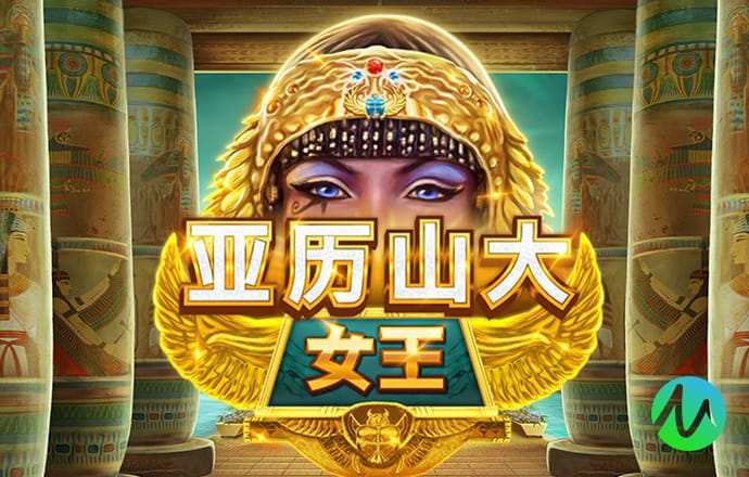 8x8小皇冠国产